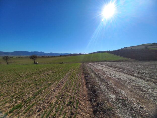 korkuteli satılık arsa,korkuteli satılık tarla,korkuteli satılık arazi,korkuteli büyükköy satılık arsa,korkuteli büyükköy satılık tarla,korkuteli büyükköy satılık arazi,satılık arsa korkuteli,satılık tarla korkuteli,satılık arazi korkuteli